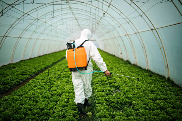 Best Commercial Pest Control Services  in Carle Place, NY