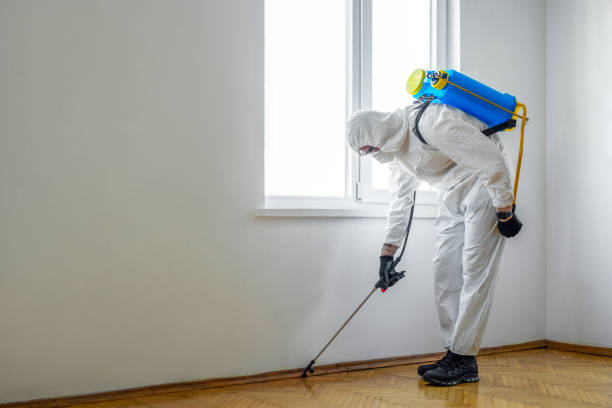 Best Pest Control for Homes  in Carle Place, NY