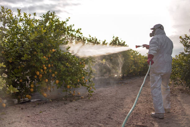Best Pest Inspection Near Me  in Carle Place, NY