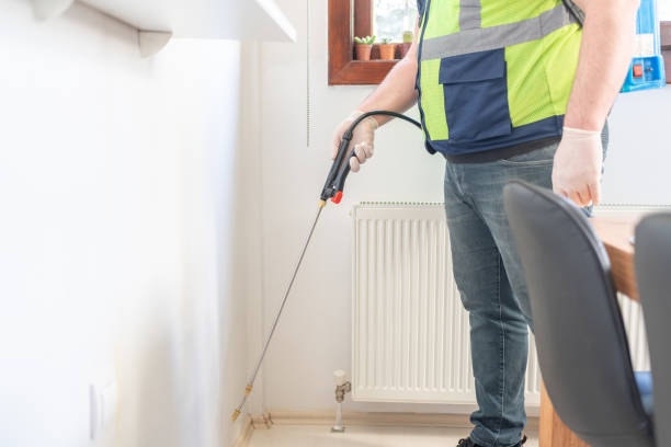 Trusted Carle Place, NY Pest Control Experts