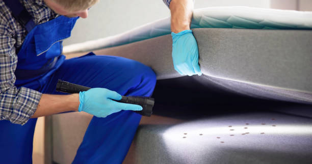 Best Affordable Pest Control Services  in Carle Place, NY