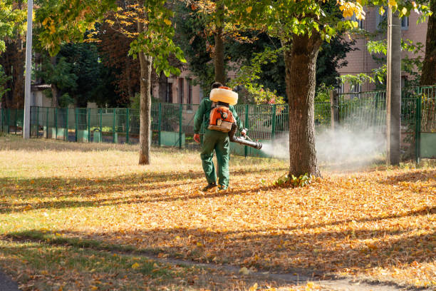Best Pest Prevention Services  in Carle Place, NY