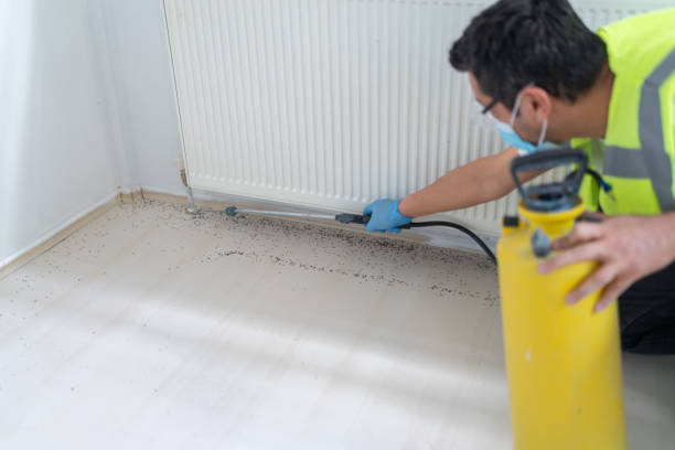 Best Pest Removal Services  in Carle Place, NY