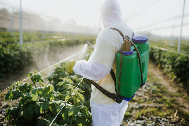 Best Pest Control for Restaurants  in Carle Place, NY